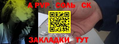 индика Гусь-Хрустальный