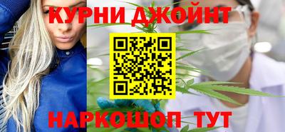 индика Гусь-Хрустальный