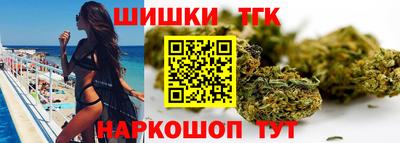 индика Гусь-Хрустальный