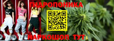 индика Гусь-Хрустальный