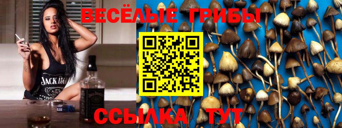 Псилоцибиновые грибы мицелий Менделеевск