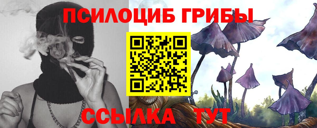 Псилоцибиновые грибы Magic Shrooms  Галлюциногенные грибы Cubensis  Менделеевск  Вход с VPN 